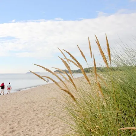 Strandhaus Moenchgut Ferienwohnung 09 Mit Sauna- Und Schwimmbadnutzung Im Ahoi Sellin *