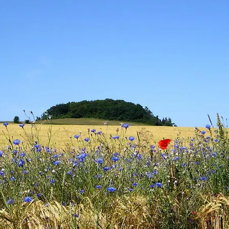 Strandhaus Moenchgut Ferienwohnung 09 Mit Sauna- Und Schwimmbadnutzung Im Ahoi Sellin * Lobbe