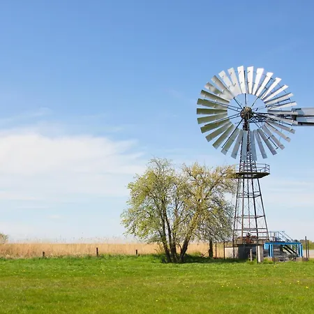 Lejlighed Strandhaus Moenchgut Ferienwohnung 09 Mit Sauna- Und Schwimmbadnutzung Im Ahoi Sellin